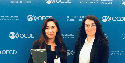OECD Toplantılarına Katılım.